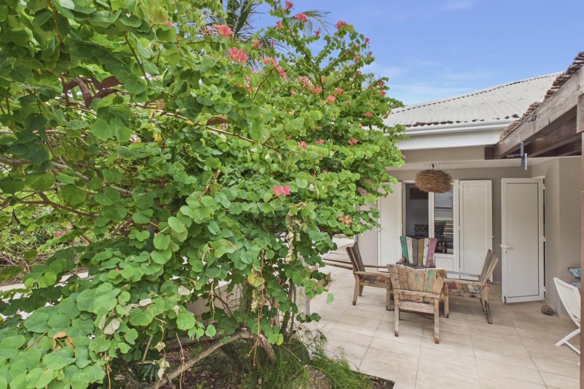 salon-jardin-exterieur-detente-terrasse (2)